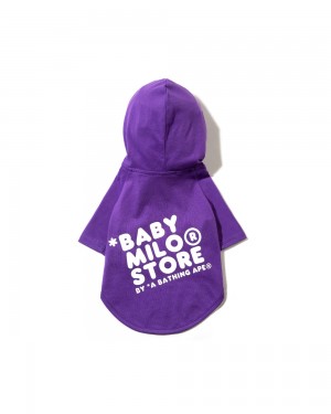 Otros Accesorios Bape Pet hoodie Hombre Morados | 931-UWPJOQ