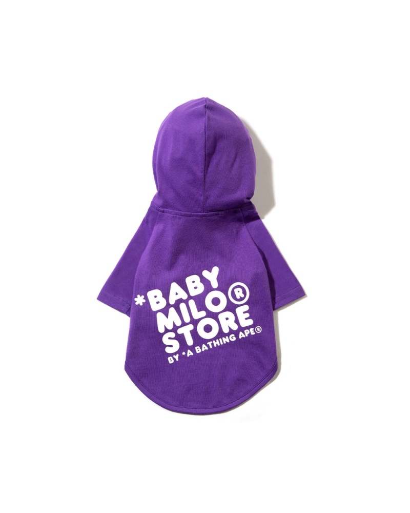 Otros Accesorios Bape Pet hoodie Hombre Morados | 931-UWPJOQ